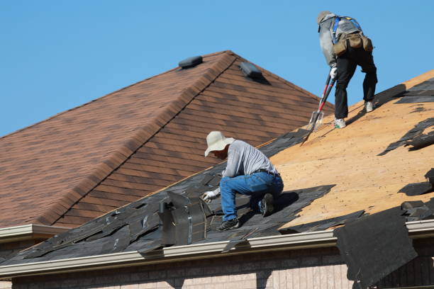 Best Roof Insulation Installation  in North Branch, MN