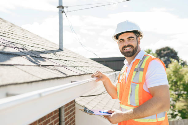 Best Green or Eco-Friendly Roofing Solutions  in North Branch, MN